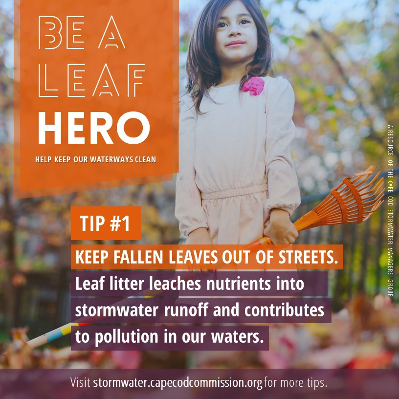 Leaf Hero - Tip #1